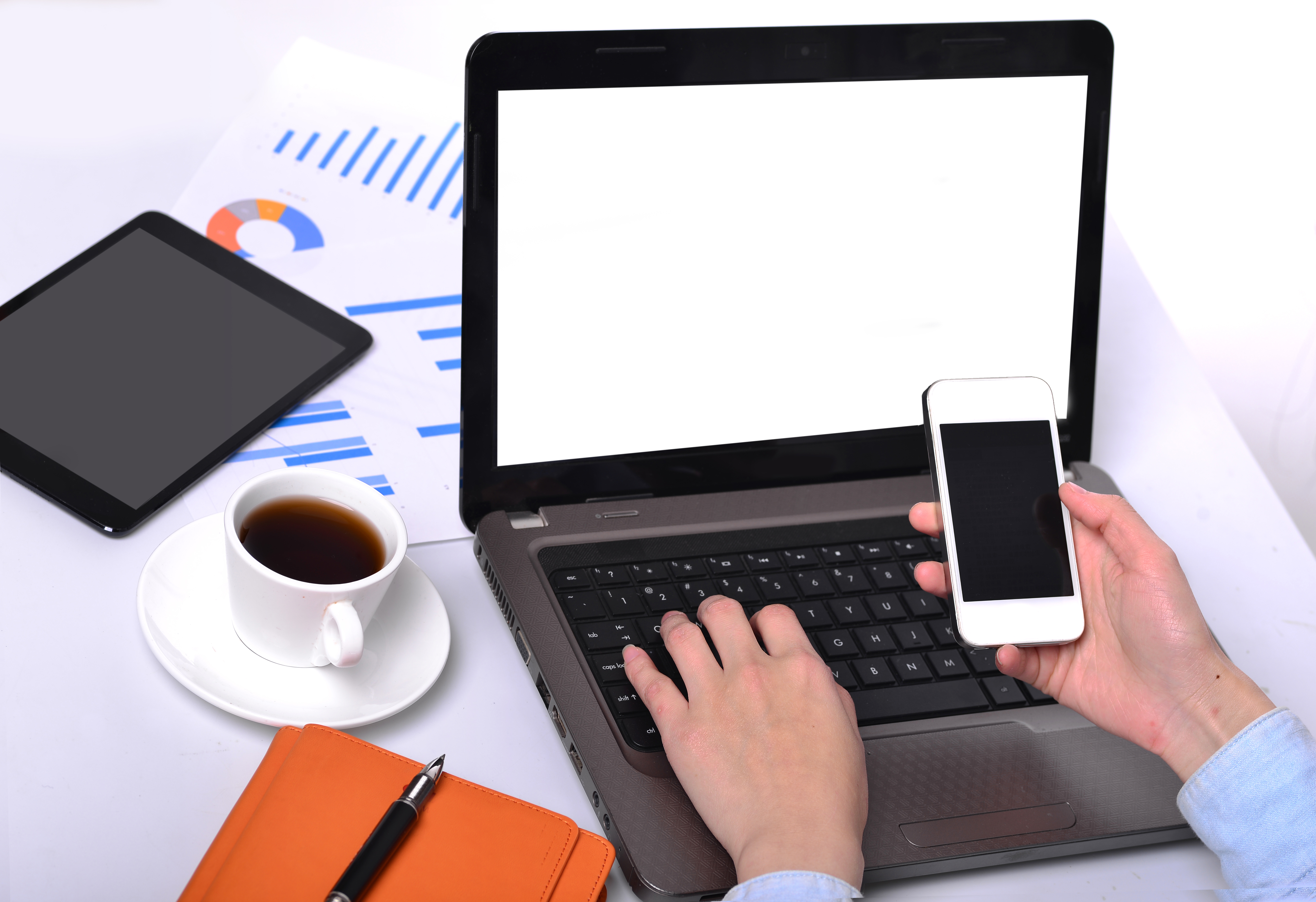 Expériences Professionnelles